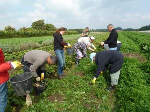 Arbejdsdag i marken