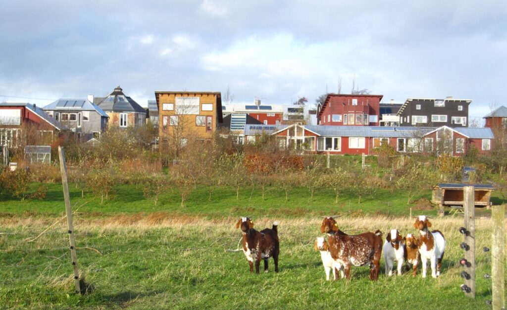 I Andelssamfundet Hjortshøj skaber boliger og landbrug rammer for det gode liv